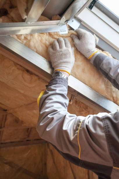 Best Attic Insulation Near Me  in Nederland, TX
