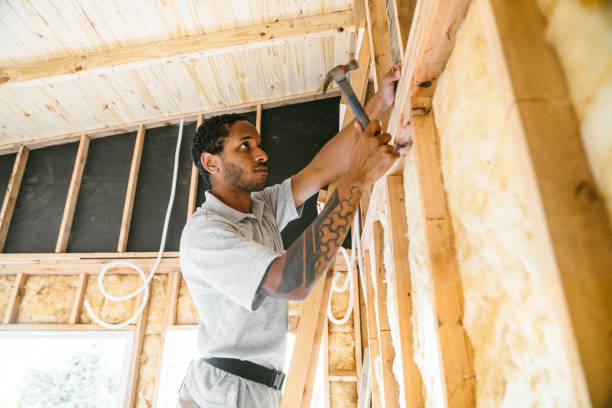 Best Cellulose Insulation  in Nederland, TX