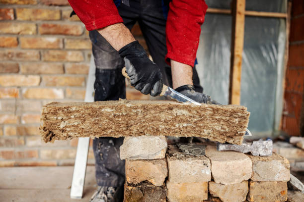 Best Attic Insulation Installation  in Nederland, TX