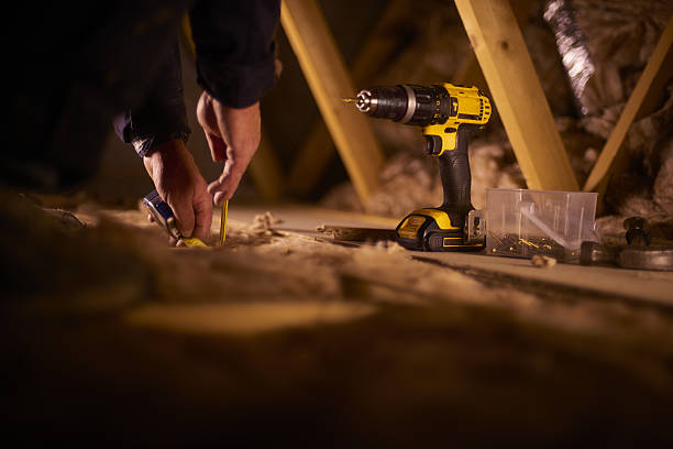 Best Insulation Contractors for Homes  in Nederland, TX