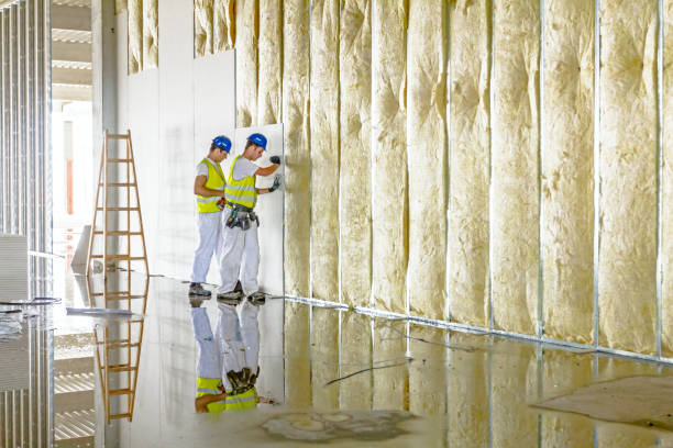 Best Blown-in Insulation  in Nederland, TX